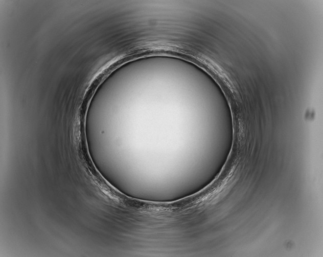 X0000099520782200805291210