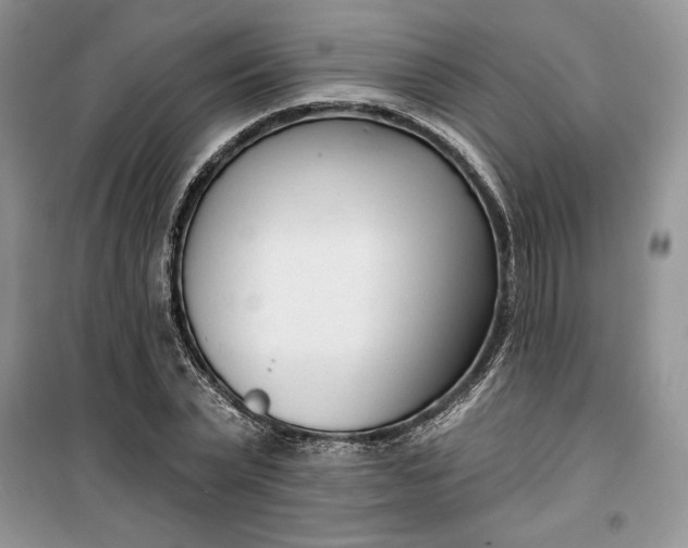 X0000099520783200805291210