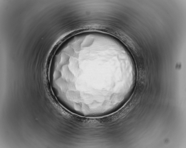 X0000099520784200805291210