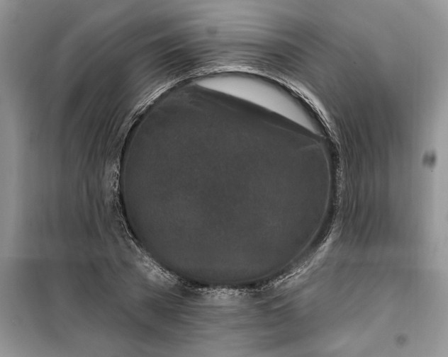 X0000099520785200805291210