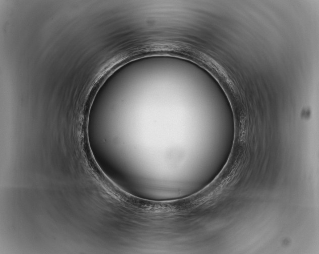 X0000099520786200805291210