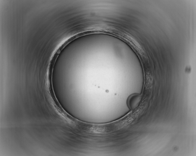 X0000099520788200805291210