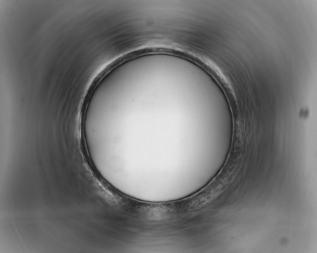 X0000099520791200805291210