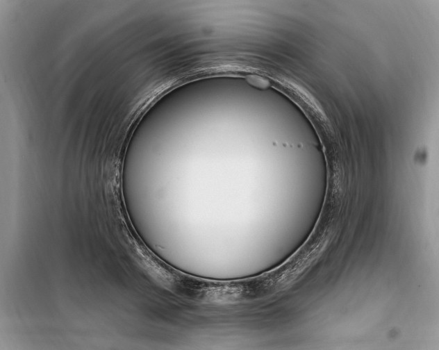 X0000099520793200805291210