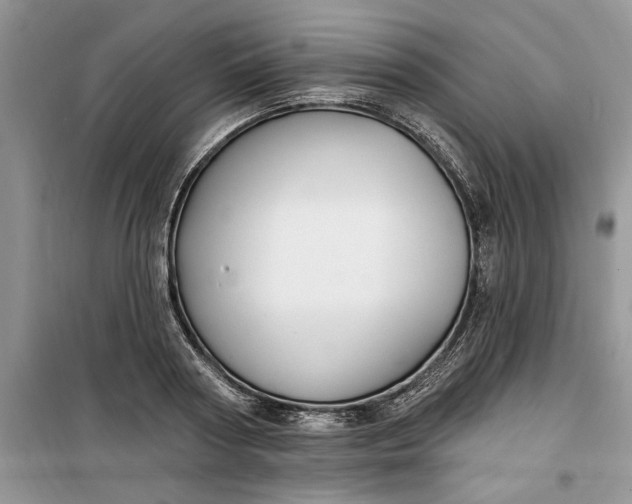 X0000099520794200805291210