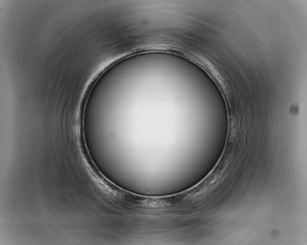 X0000099520795200805291210