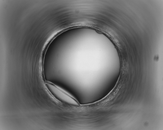 X0000099520796200805291210