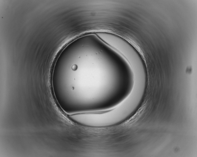 X0000099520797200805291210