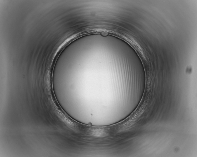 X0000099520798200805291210