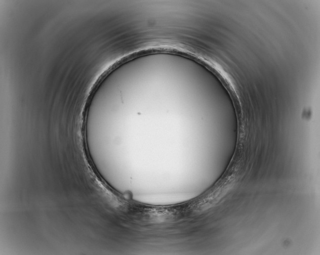 X0000099520799200805291210