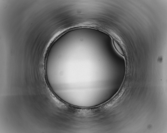 X0000099520800200805291210