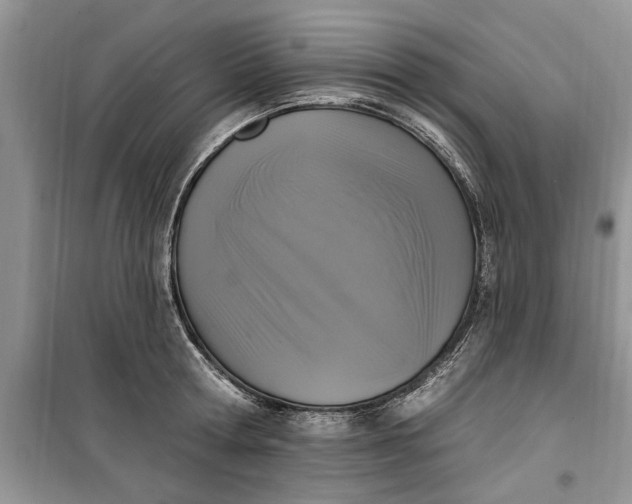 X0000099520802200805291210