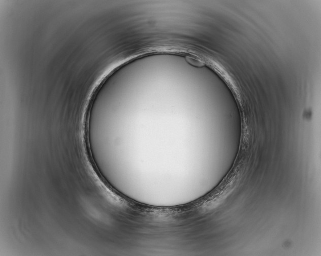 X0000099520803200805291210