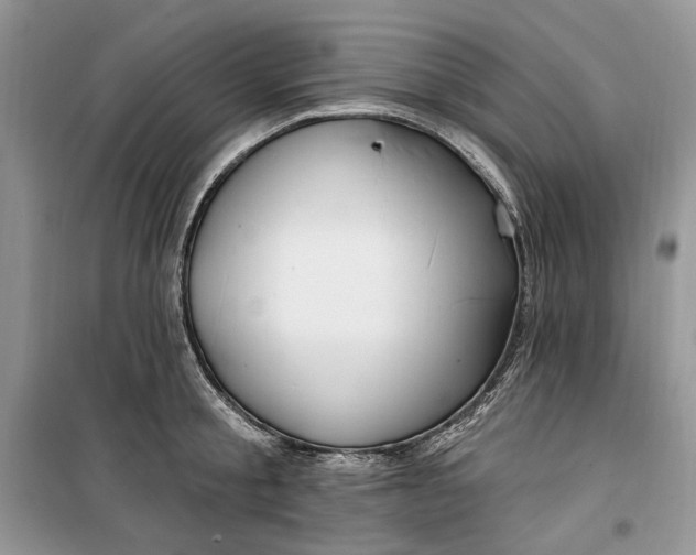 X0000099520805200805291210