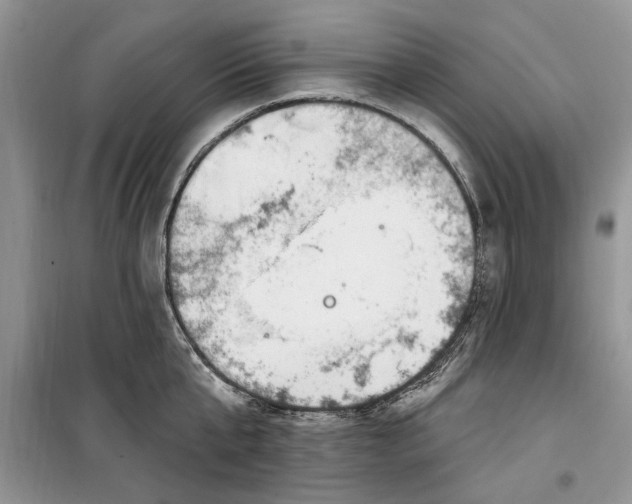 X0000099520807200805291210