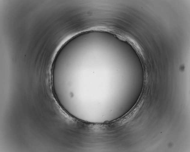 X0000099520808200805291210