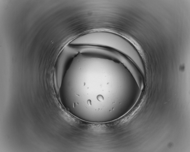 X0000099520809200805291210