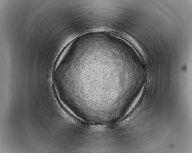 X0000099520810200805291210