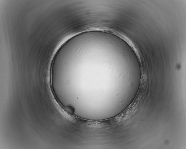 X0000099520811200805291210