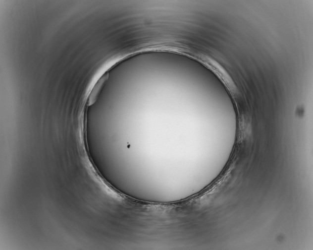 X0000099520812200805291210