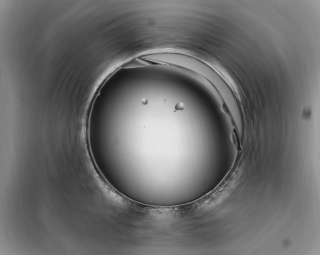 X0000099520813200805291210