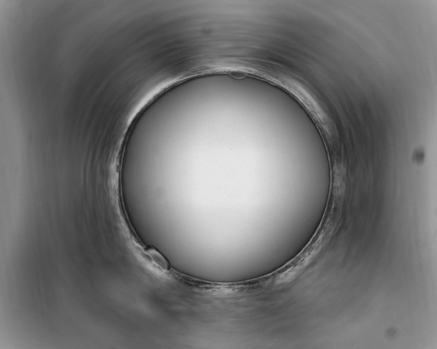 X0000099520814200805291209