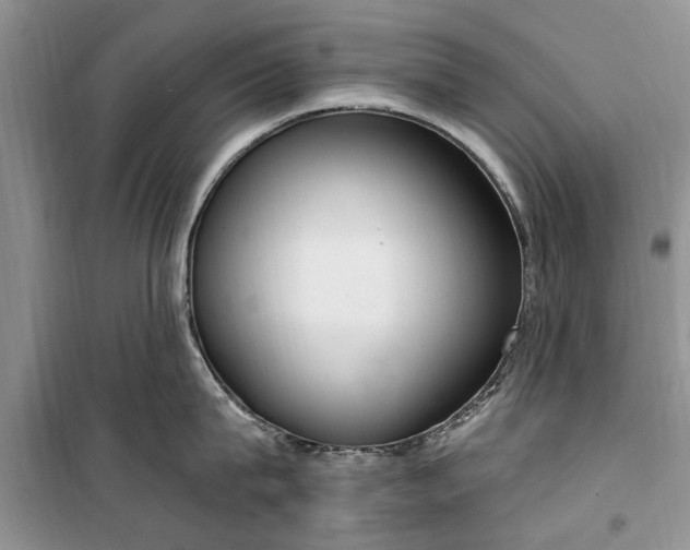 X0000099520815200805291209