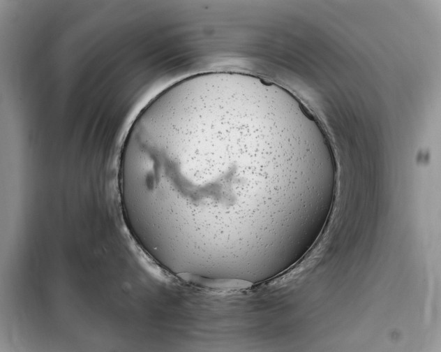 X0000099520816200805291209