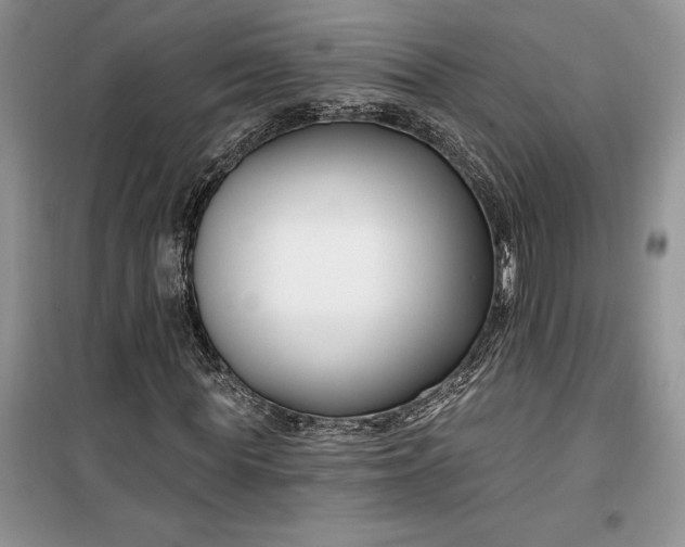 X0000099520819200805291209