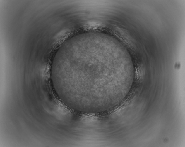 X0000099520820200805291209