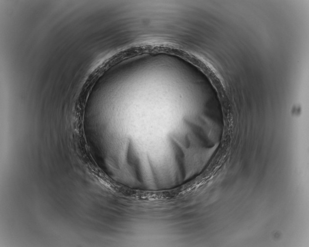 X0000099520823200805291209