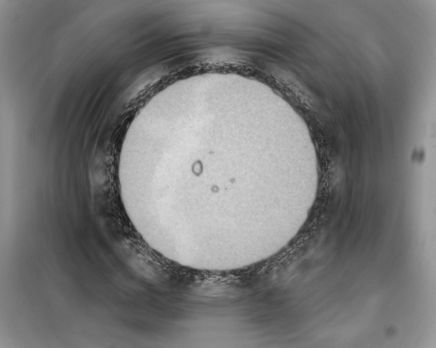 X0000099520824200805291209