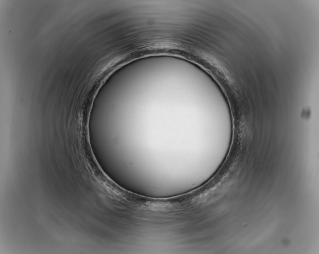 X0000099520825200805291209