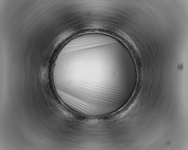 X0000099520826200805291209