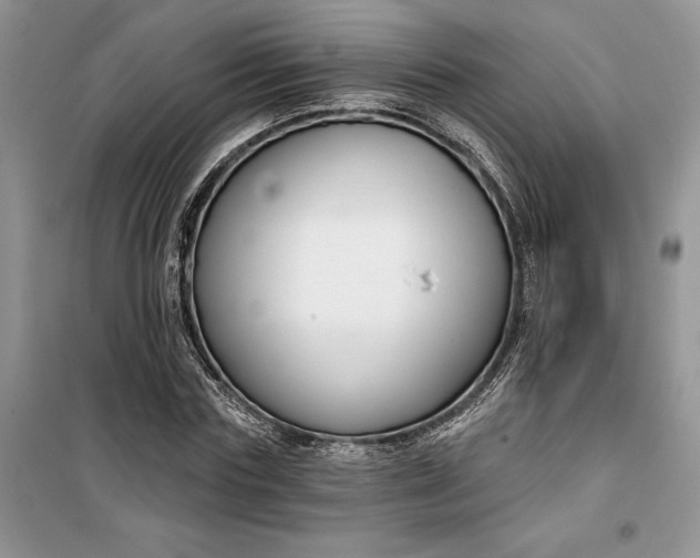 X0000099520827200805291209