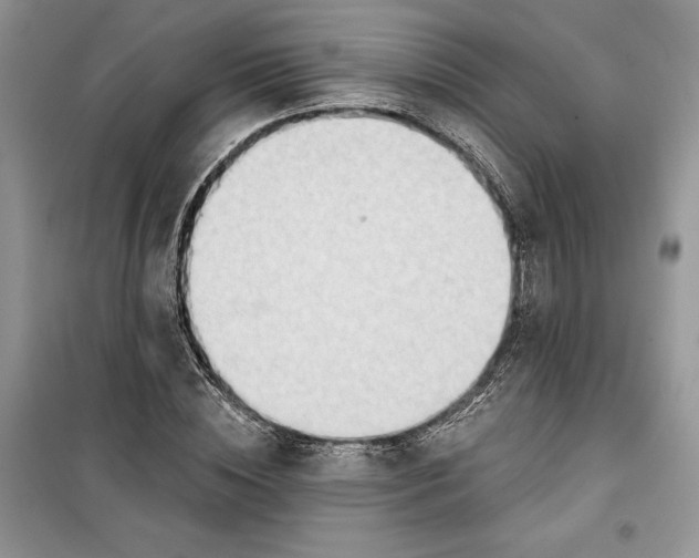 X0000099520828200805291209