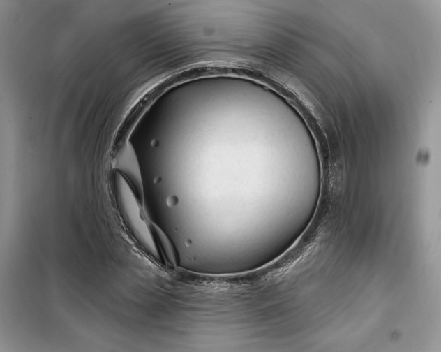 X0000099520829200805291209