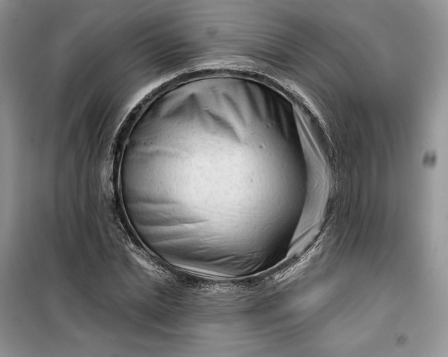 X0000099520830200805291209