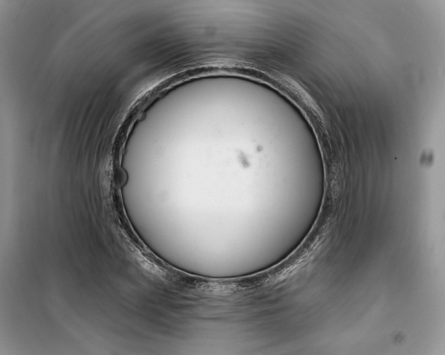 X0000099520831200805291209