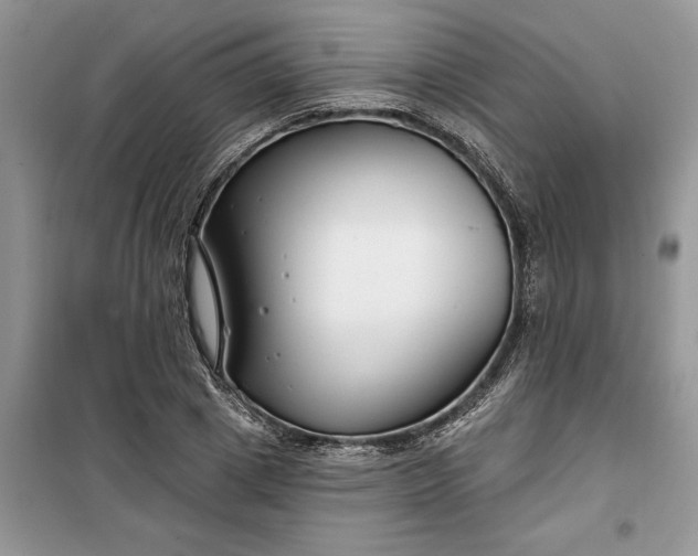 X0000099520833200805291209