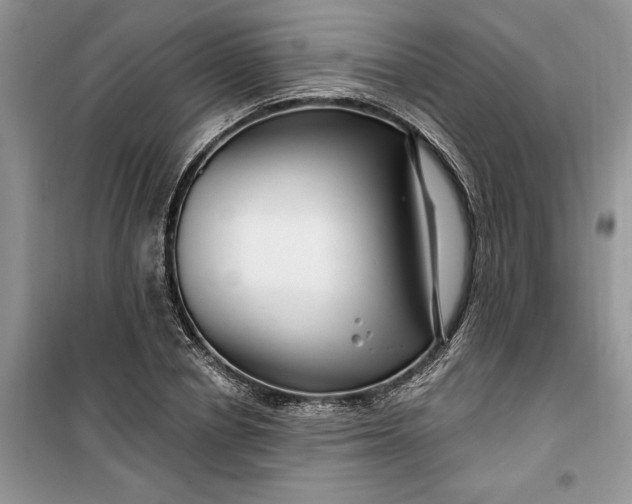 X0000099520834200805291209