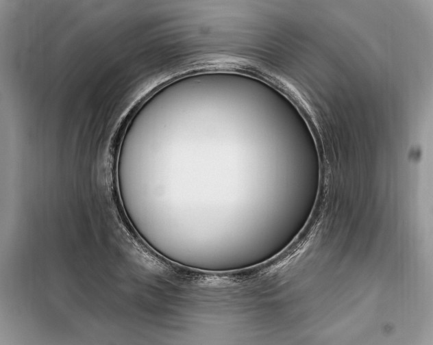 X0000099520835200805291209