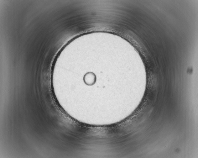 X0000099520836200805291209