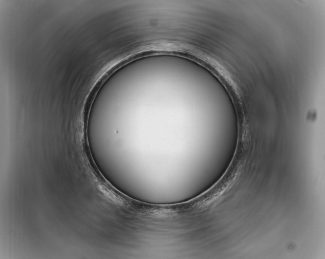 X0000099520837200805291209