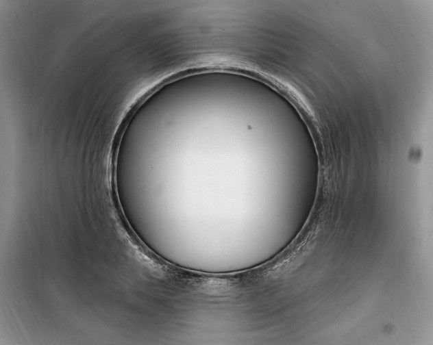 X0000099520839200805291209