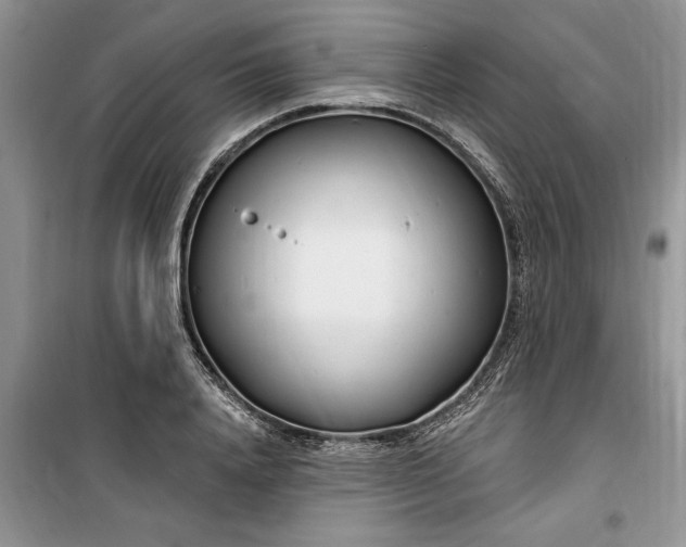 X0000099520840200805291209