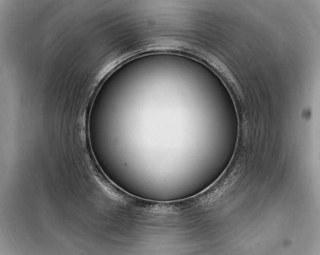 X0000099520842200805291209