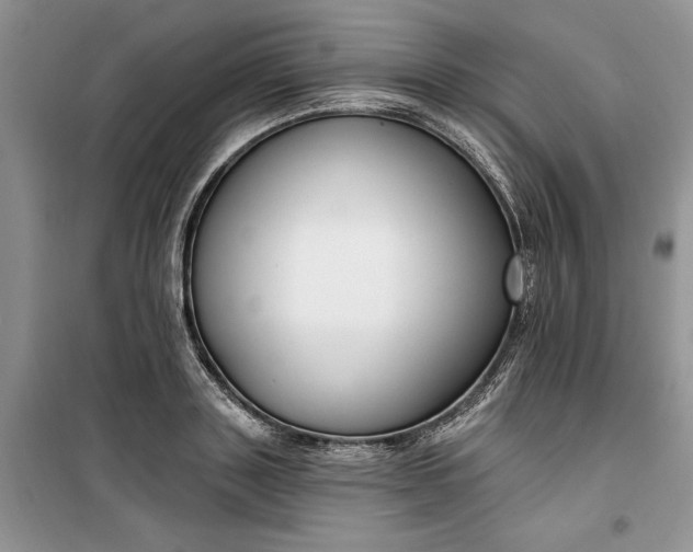 X0000099520843200805291209