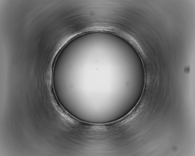 X0000099520844200805291209