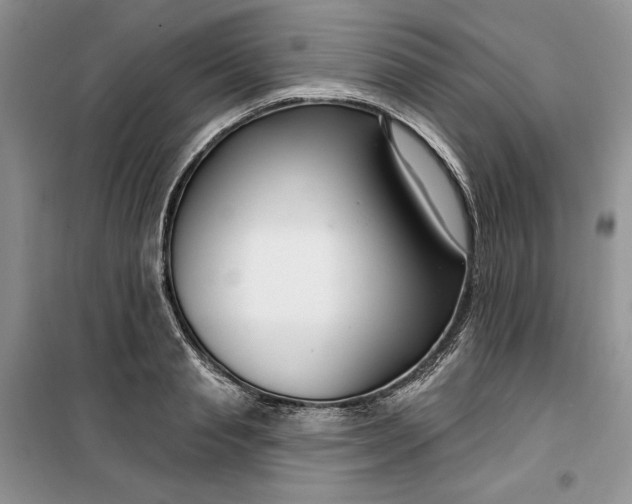 X0000099520845200805291209